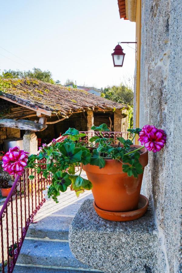 Casa Do Ribeiro Guest House Lago  Bagian luar foto